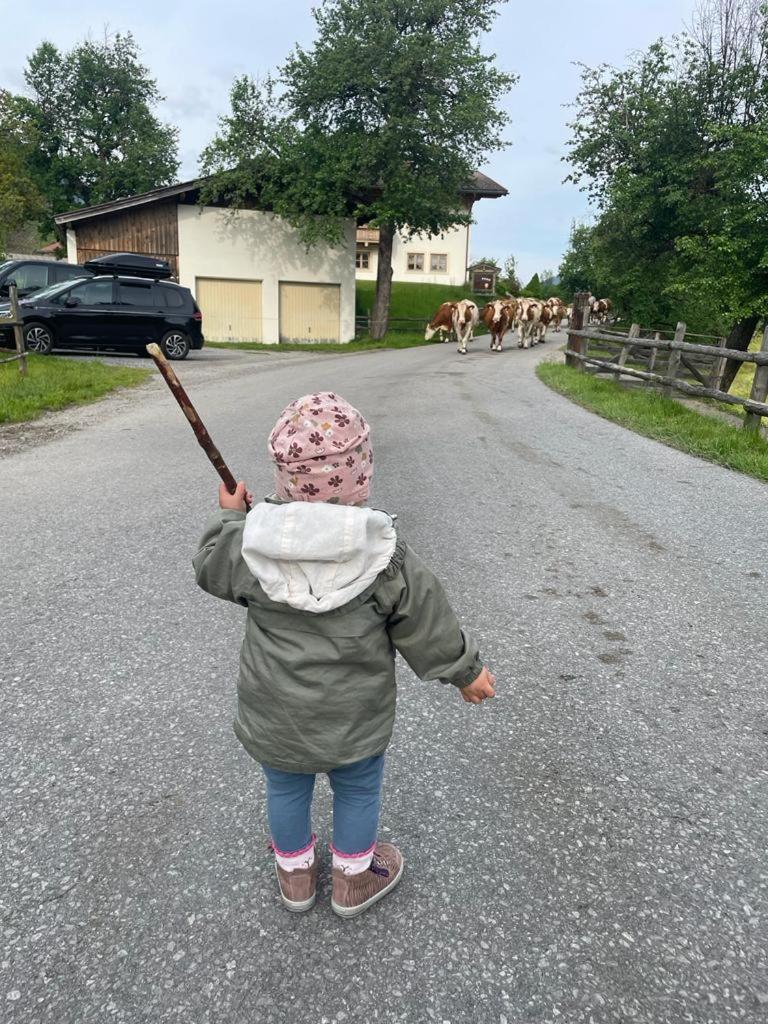 Ferienparadies Taxen Sankt Veit im Pongau Dış mekan fotoğraf