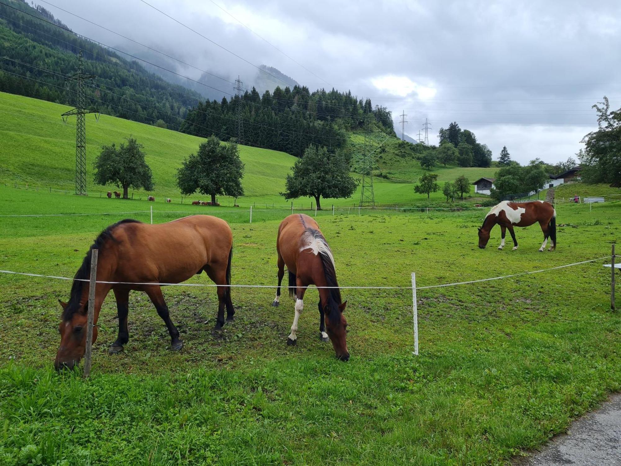 Ferienparadies Taxen Sankt Veit im Pongau Dış mekan fotoğraf