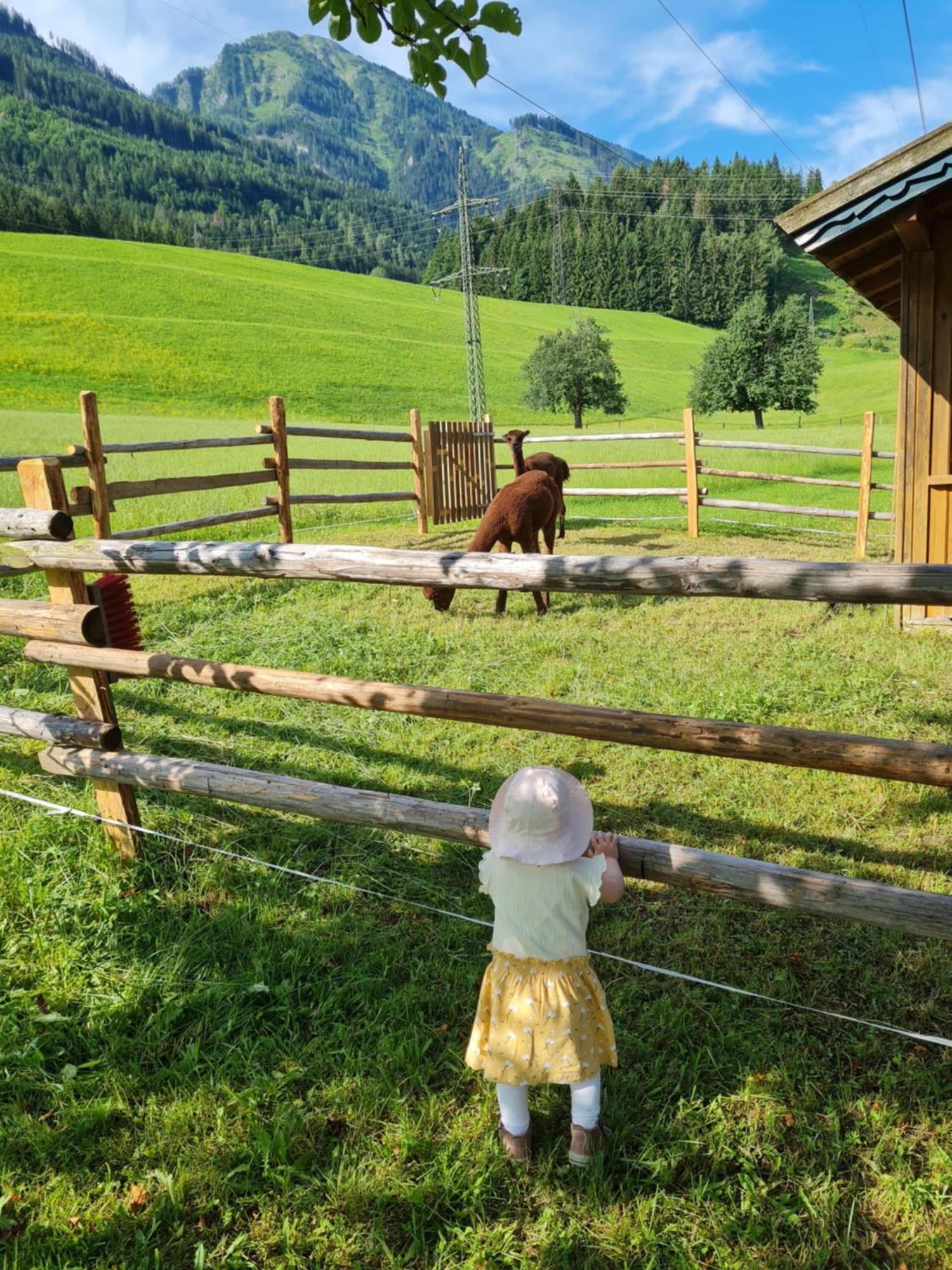 Ferienparadies Taxen Sankt Veit im Pongau Dış mekan fotoğraf