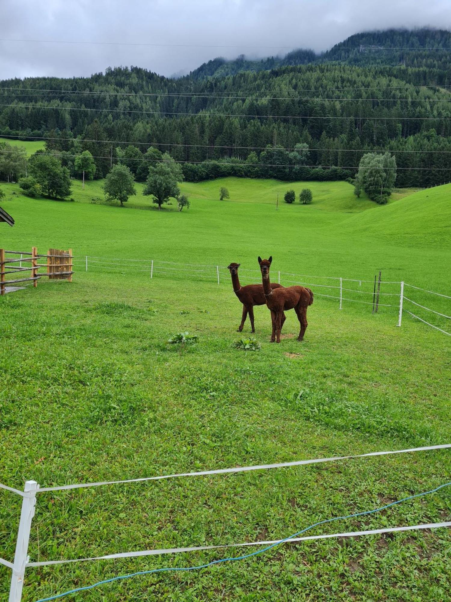 Ferienparadies Taxen Sankt Veit im Pongau Dış mekan fotoğraf