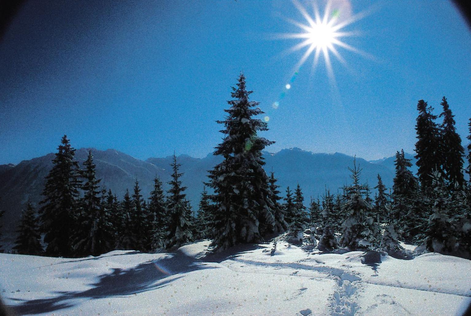 Ferienparadies Taxen Sankt Veit im Pongau Dış mekan fotoğraf