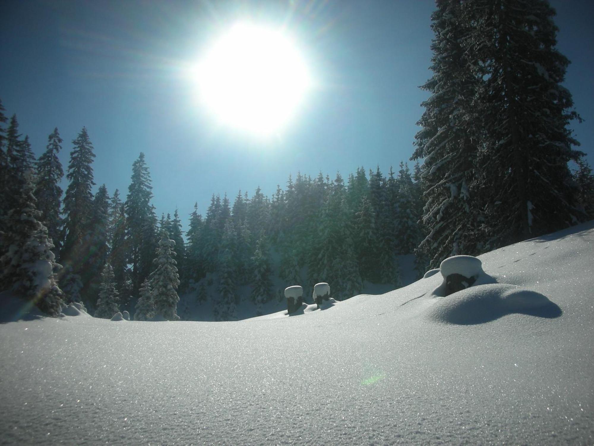 Ferienparadies Taxen Sankt Veit im Pongau Dış mekan fotoğraf