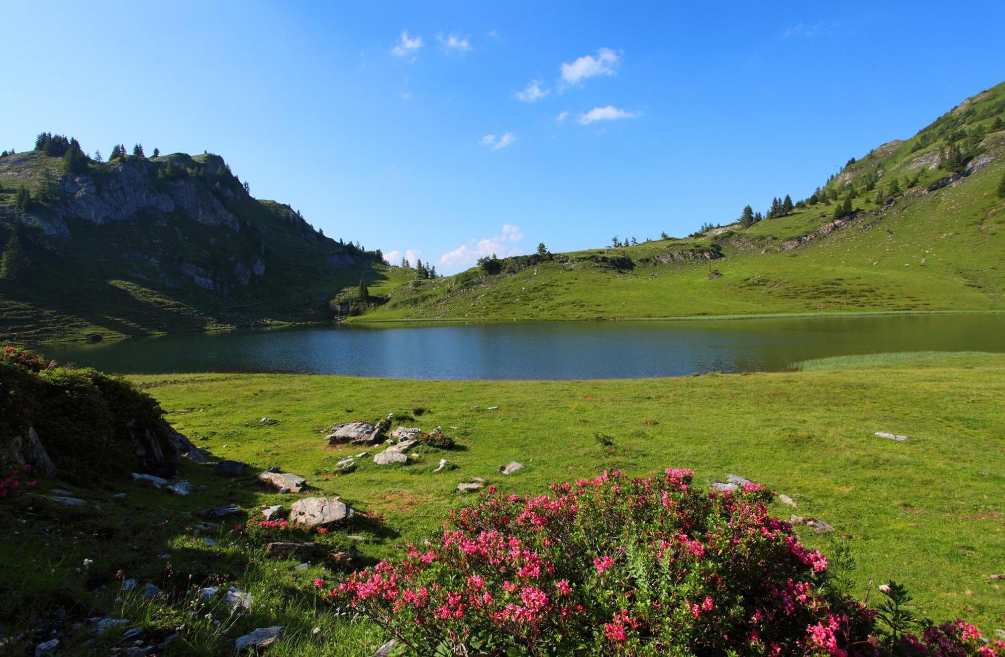 Ferienparadies Taxen Sankt Veit im Pongau Dış mekan fotoğraf