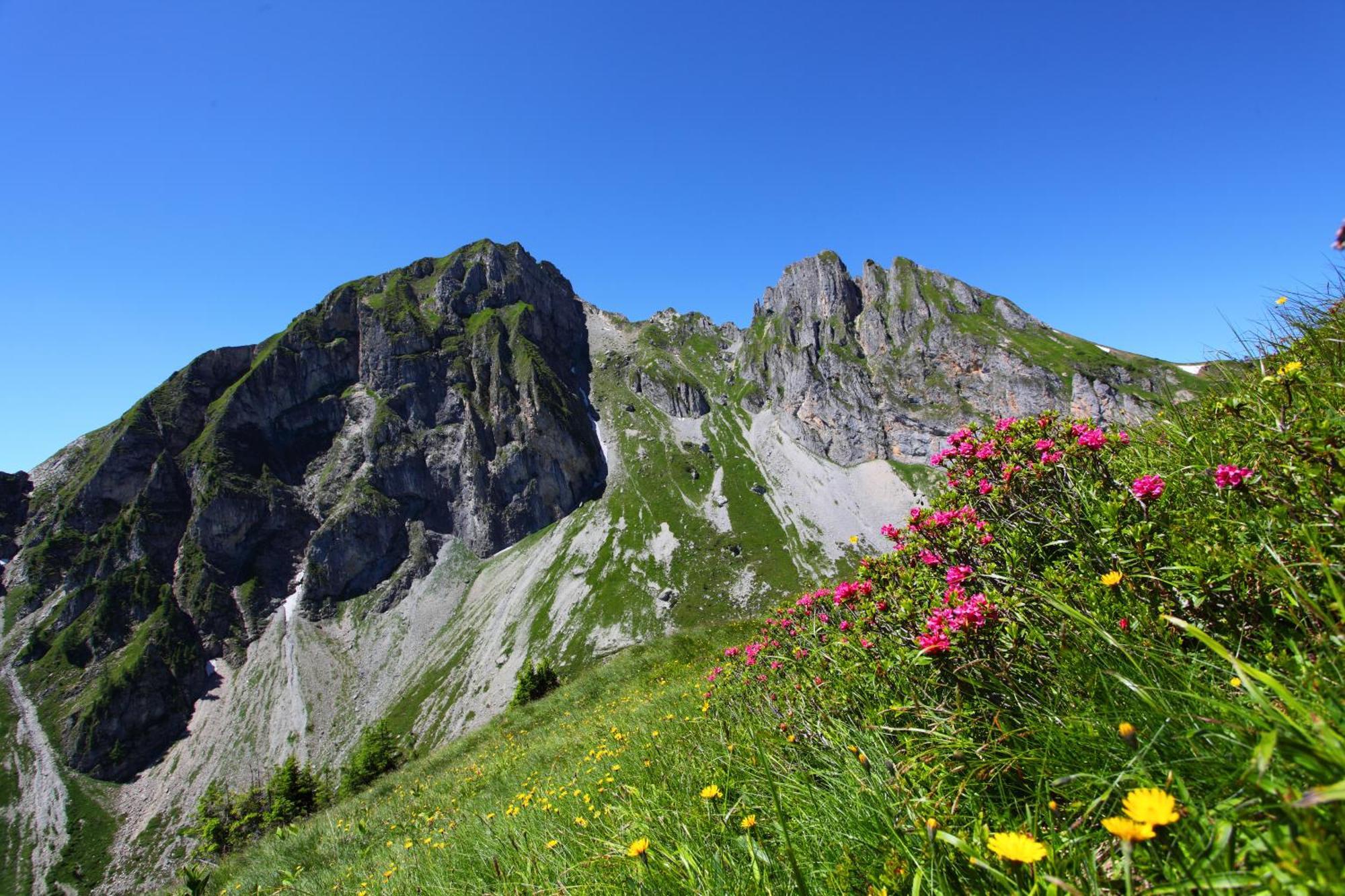 Ferienparadies Taxen Sankt Veit im Pongau Dış mekan fotoğraf